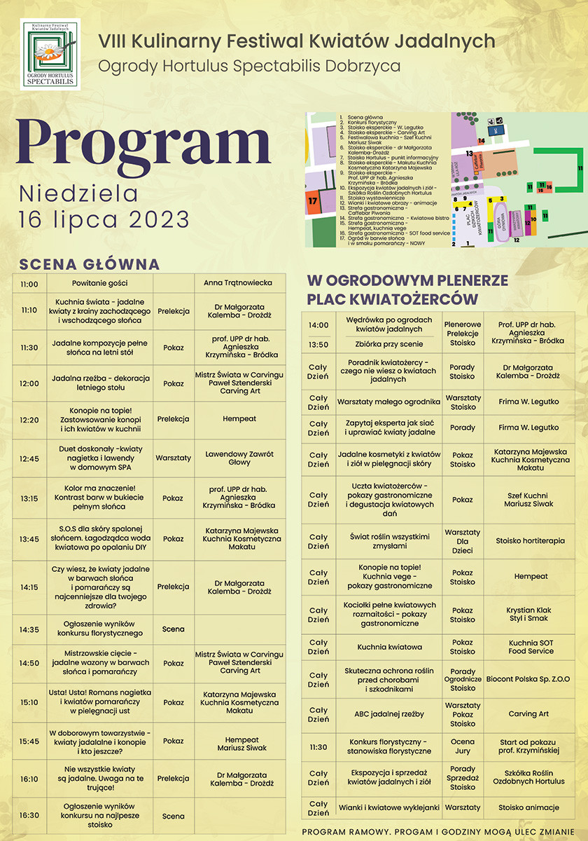 program_niedziela_internet